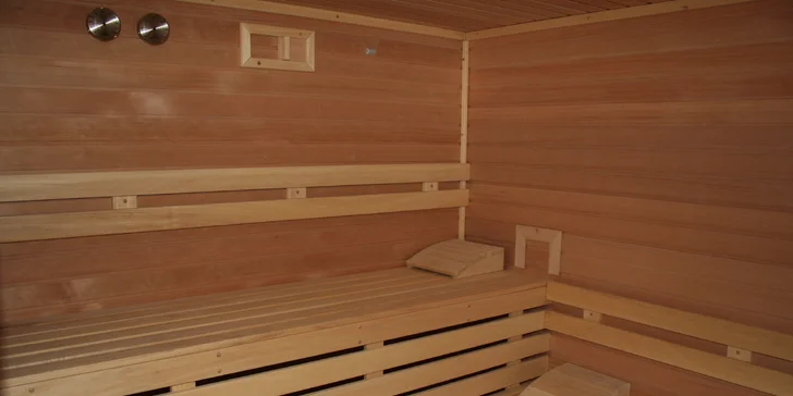 Pre návštevníkov penziónu sú k dispozícii sauna, vírivka a masáže
