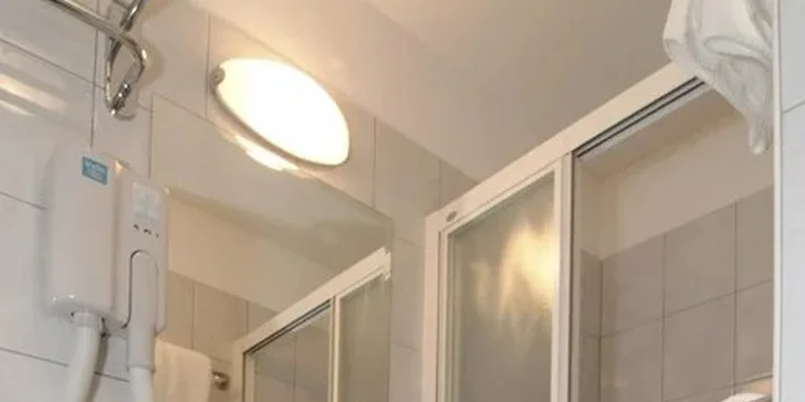 V koupelně je sprcha, toaleta a fén. 