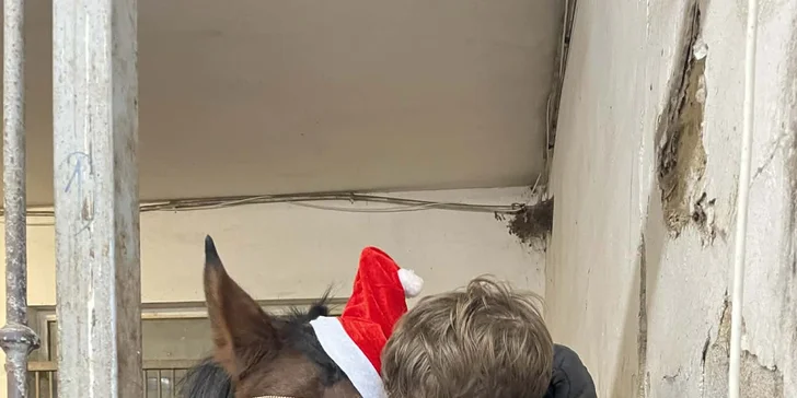 Na památku si odnesete i malou podkovu pro štěstí.