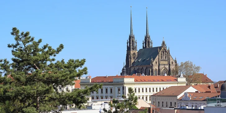 V termínech do konce března 2020 se o vás královsky postarají v prvorepublikovém hotelu Slavia, který stojí přímo v centru Brna.