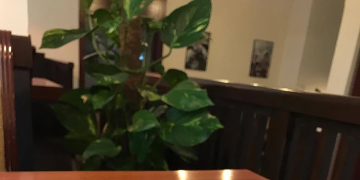 Na své si tu přijdou i vegetariáni, objednat si mohou třeba thajské kari tofu.
