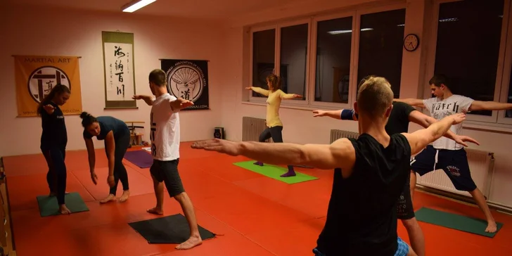 S měsíční permanentkou na 10 vstupů si užijete lekce Zančin budó.