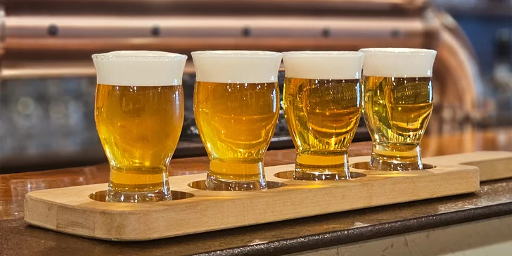 Prohlídka muzea pivovarnictví, Žateckého pivovaru, vodárenské věže a degustace piv