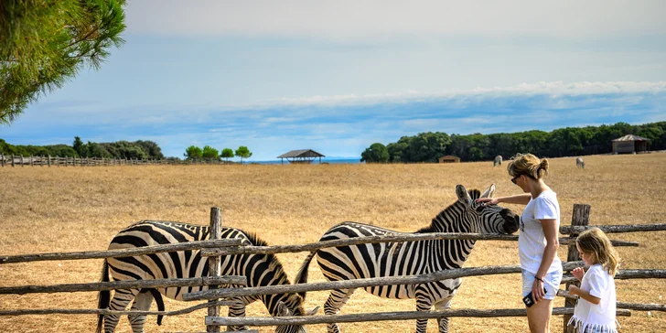 Navštivte také Safari park na severu ostrova (vstupné se hradí zvlášť), kde uvidíte slona Lanku, zebry, lamy i antilopy. 