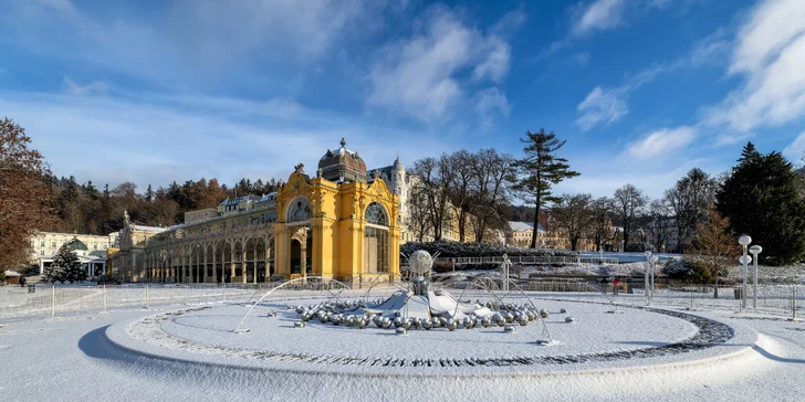 Do centra města je to 2 km procházkou parky.