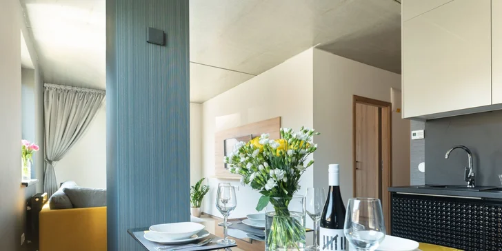 Apartmán (2+2)