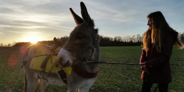 Vyjít si můžete na hodinku, půl nebo celý den.