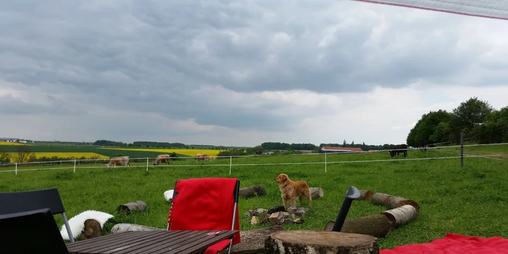  Ohniště s výhledem na krajinu a pasoucí se zvířátka je Vám k dispozici 