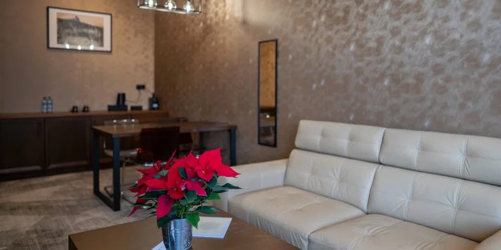 Pro rodiny je ideální Exclusive apartmán s oddělenou ložnicí a samostatným obývákem s rozkládací pohovkou.