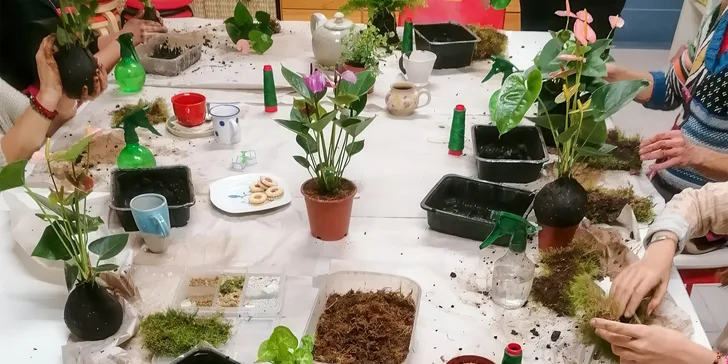 Mechovou kouli si vyrobíte během dvouhodinového večerního workshopu ve studiu Čarokvítí. 