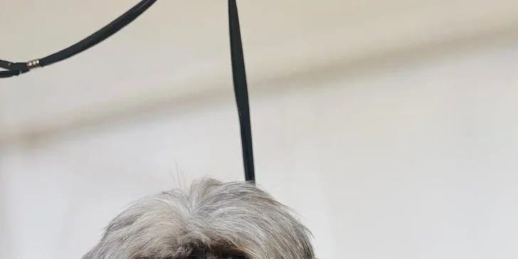 Na záver každej návštevy čaká na miláčika voňavá bodka a chutná maškrta.