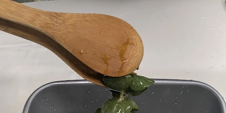 Nejdříve se dozvíte vše potřebné o technice ecoprintu a bezpečnosti při práci.
