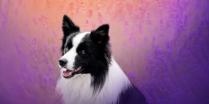 V nabídce je 8 nebo 10 upravených fotografií (podle zvolené varianty).