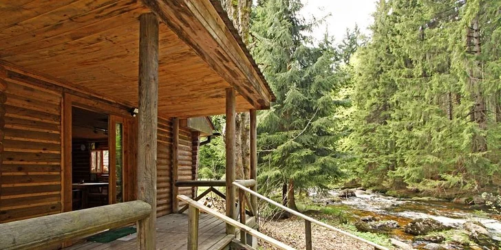 V ceně pobytu máte hodinový relax ve finské nebo ruské sauně.