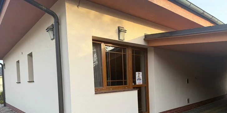 V ponuke sú balíčky pre šteniatka, malé psíky do 5 kg aj stredné plemená do 20 kg.