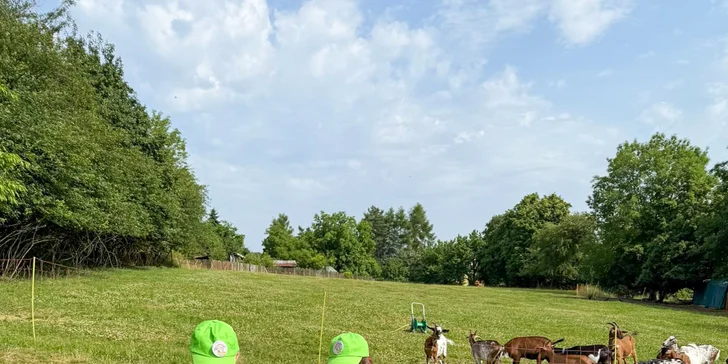 Farma Kletečná pro vás připravila speciální prohlídku, během které se dostanete ke kozám opravdu blízko.