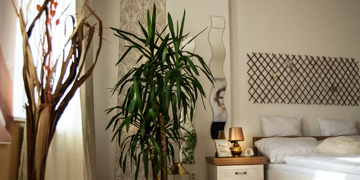 Apartmán je v podkroví, je tu manželská postel, koupelna a obývací salonek. 