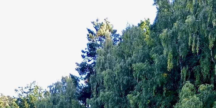 Pokud se chcete zapojit i do péče o zvířátko, zvolte oslí treking. 