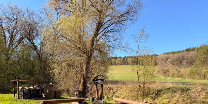 Kupte si špekáčky a užijte si táborák. 