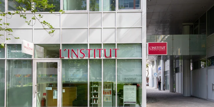 L´institut