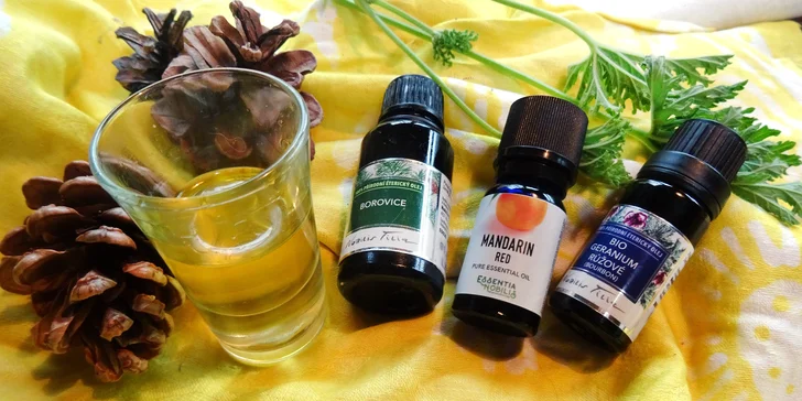 Zjistíte, co má obsahovat základní domácí aromalékárnička.