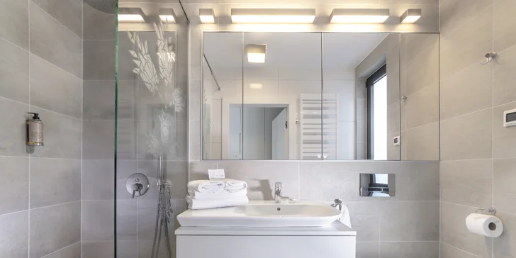 V koupelně je k dispozici sprchový kout i WC, fén a sada hotelové kosmetiky.