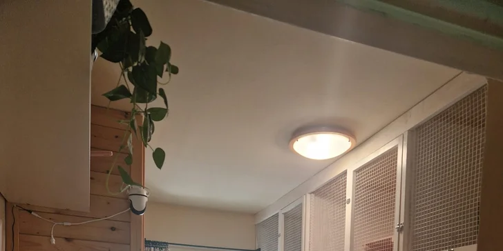 Kočičí hotel U Lízinky se nachází v osadě Skláře u Vimperka.