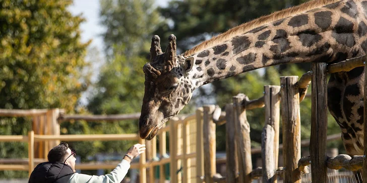 ZOO v Győri