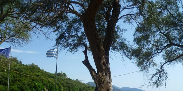 Sivota, pláž Zavia
