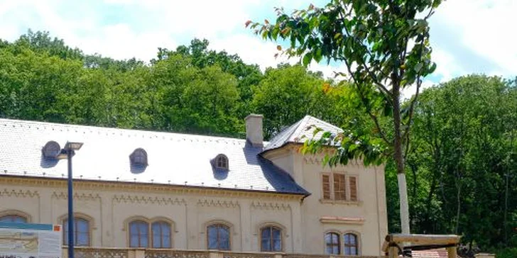Pražská Stromovka. 