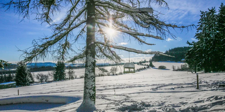 Skipark Frymburk je 11 km odtiaľto, lyžiarske stredisko Lipno asi 18 km.
