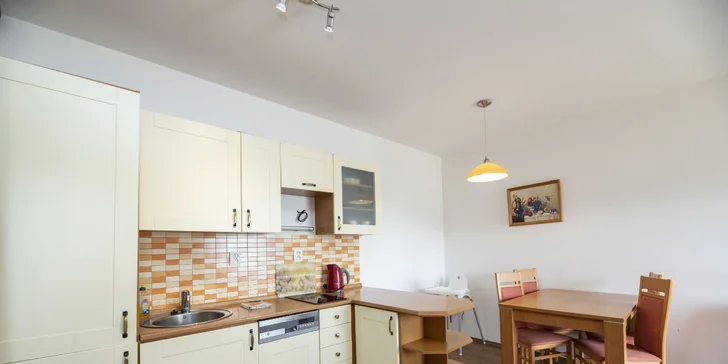 Součástí apartmánů jsou plně vybavené kuchyně.