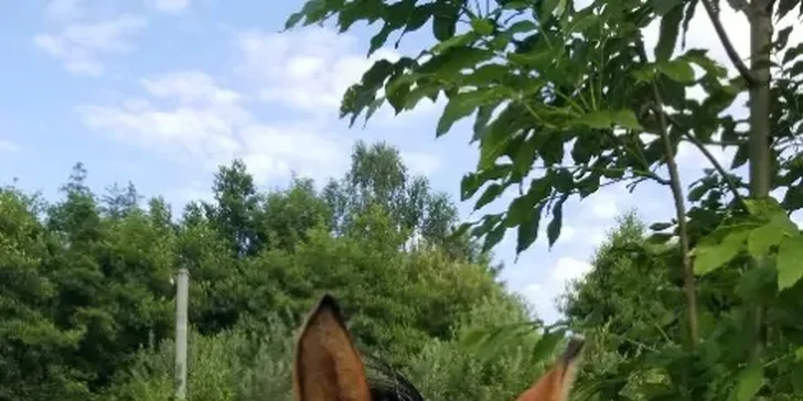 V nabídce jsou varianty pro 1 i 2 osoby.
