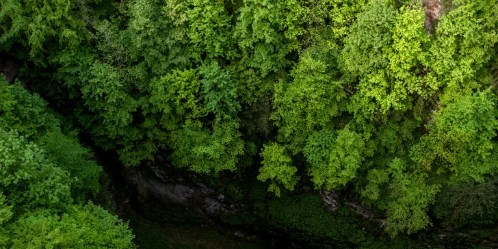 Lanovkou sa vyveziete na Horný mostík priepasti Macocha. Čaká vás nezabudnuteľný výhľad dole do 138 metrov najhlbšej priepasti v strednej Európe. 