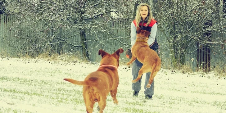 Po Vánocích bývá v útulcích bohužel "narváno", každá pomoc je tedy obrovská. 