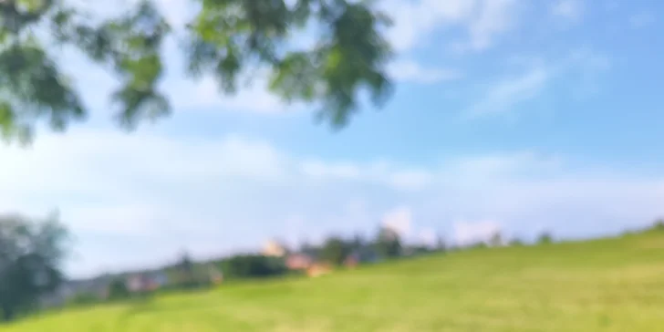 V nabídce jsou poke bowly a nejrůznější sushi: s rybami, vegetariánské, ale třeba i smažené.