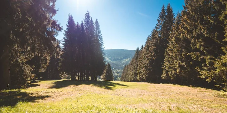 NP Šumava je jen pár minut jízdy.