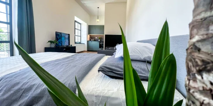Apartmán Yellow Rose je jako stvořený pro zamilované dvojice, které se zde díky modernímu zařízení budou cítit jako doma.