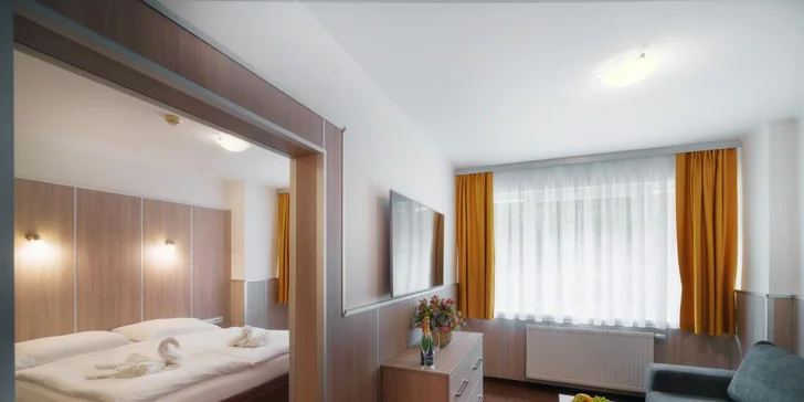 Za příplatek můžete vzít své domácí mazlíčky (malá plemena, po domluvě s hotelem). 