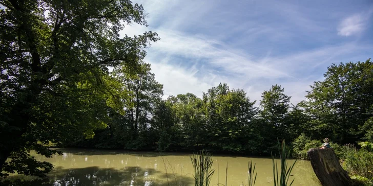 Kromě koní a volů plemene ČESTR tu najdete i krásný rybník a luxusní bungalov, ve kterém se můžete ubytovat.