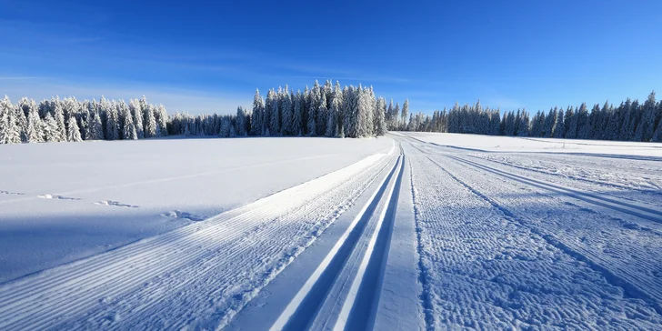 Výlety jsou tady jako malované: vyrazte třeba za vlky na Vlčí naučnou stezku nebo na hrad Kašperk.