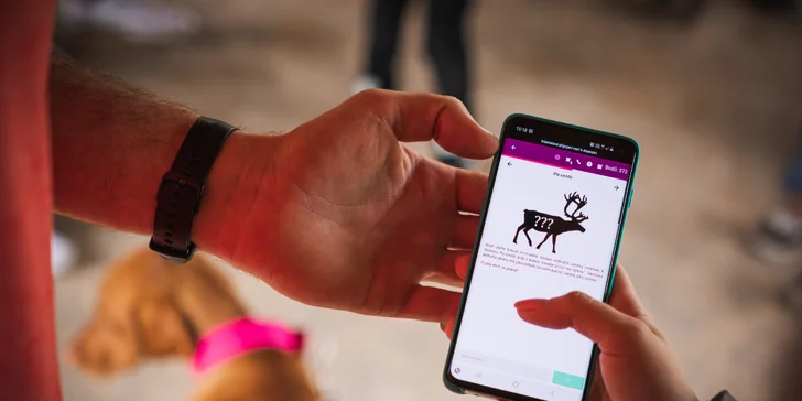 Rozluštěte šifry v mobilní aplikaci a zachraňte lachtany.