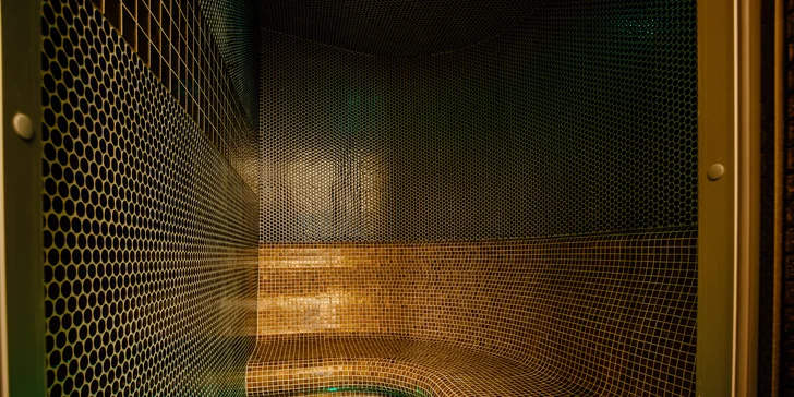 Je tu finská, bio a parní sauna.
