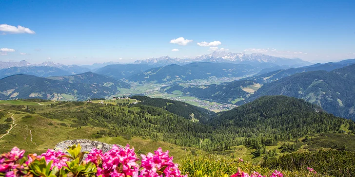 Čaká vás tiež výlet vlakom Alpenexpress na alpské pastviny.