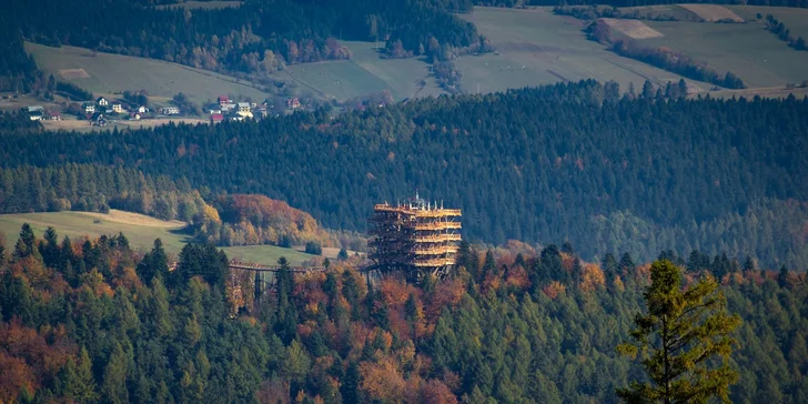 Chodník korunami stromov. 