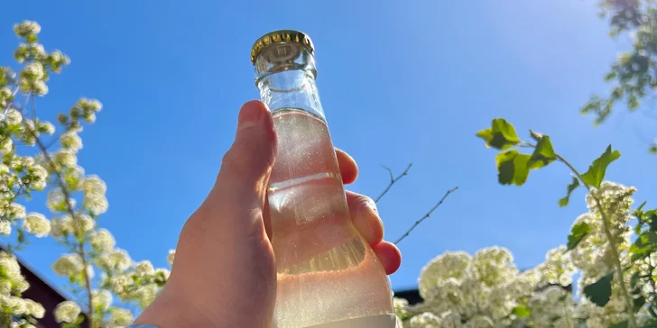Bio limonáda bezová #elizebet