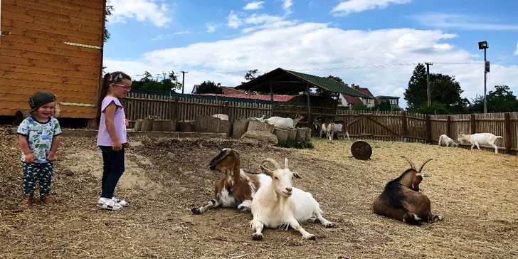 Všichni máte v ceně také vstupenku do zoo na oba dva dny pobytu. 