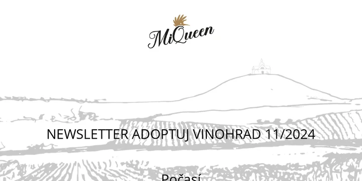 Ukázka newsletteru s. 1