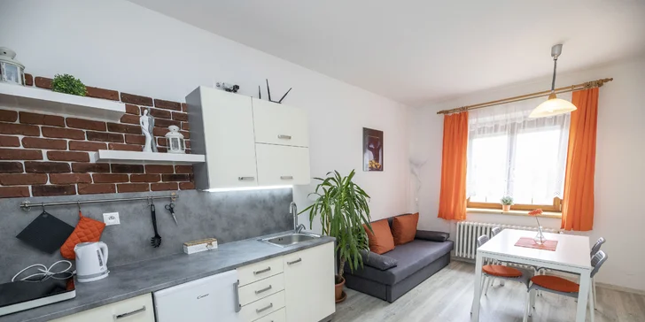 Noc strávíte v prostorném a světlém apartmánu, z něhož to do dřevěné kádě máte opravdu jen pár kroků.