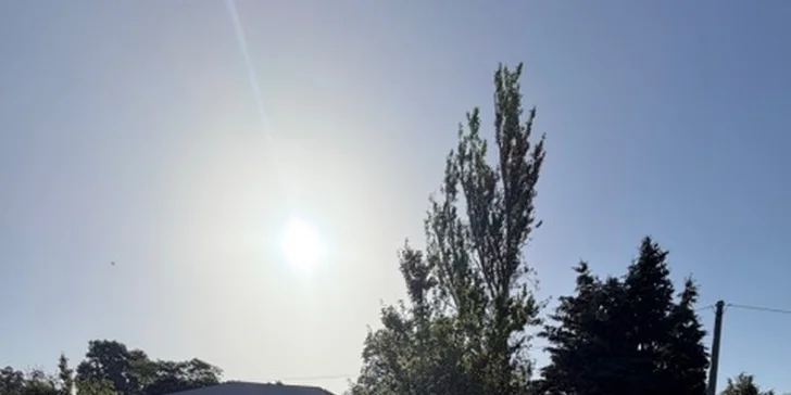 Tábor prebieha v areáli Základnej školy Kráľa Svätopluka v Nitre.


